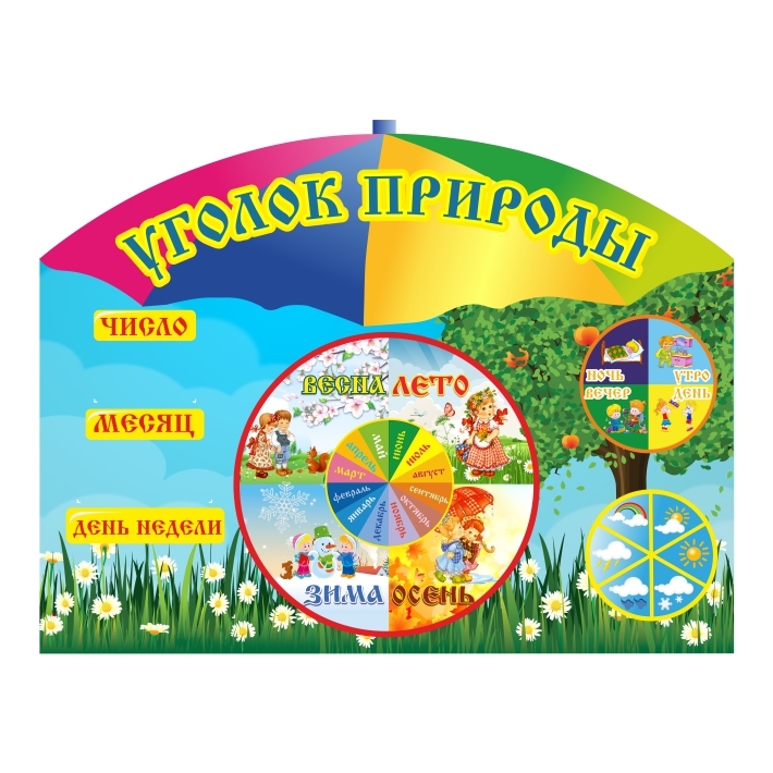 Уголок природы для детского сада